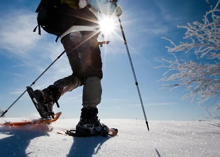 Casa Narciso Holiday home