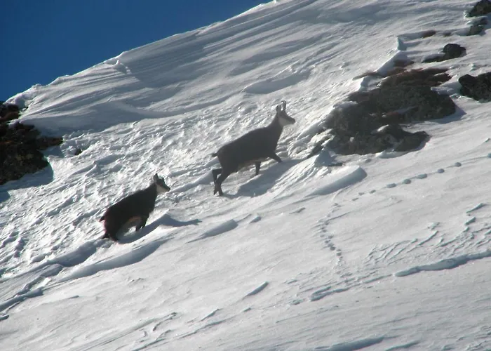 Casa Narciso Holiday home